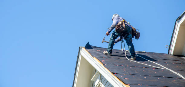 Best Roof Gutter Cleaning  in Barry, IL